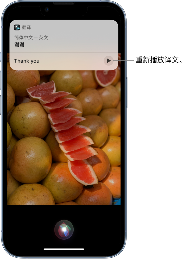 城区苹果14维修分享 iPhone 14 机型中使用 Siri：了解 Siri 能帮你做什么 